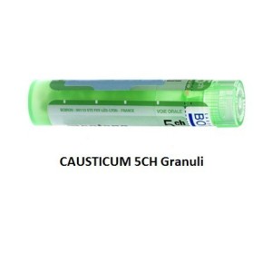 Causticum 5ch 80gr 4g Causticum 5ch 80gr 4g