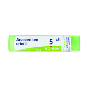 Anacardium orient 5ch gr