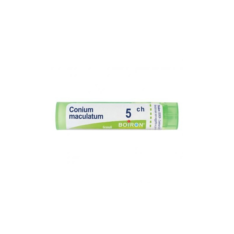 Conium maculatum 5ch gr