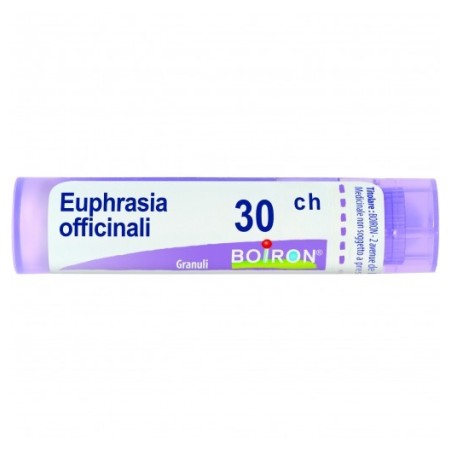 Euphrasia off 30ch gr
