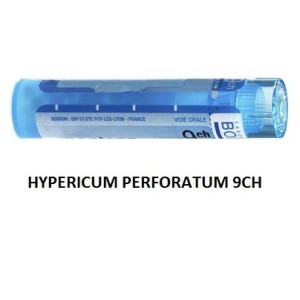 Hypericum perfor 9ch gr