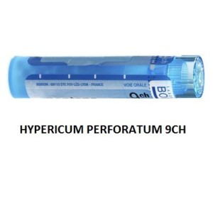 Hypericum perfor 9ch gr