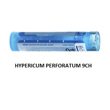 Hypericum perfor 9ch gr