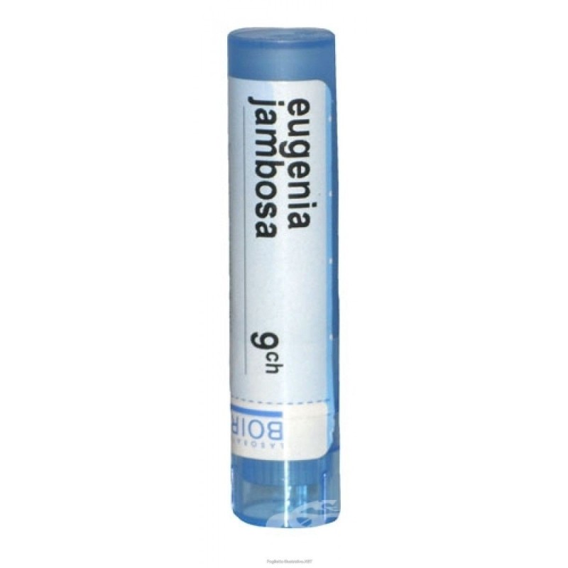 Eugenia jambosa 9ch gr