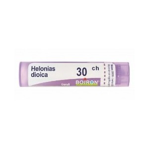 Helonias dioica 30ch gr