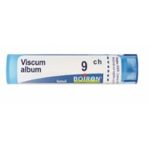 Viscum album 9ch gr