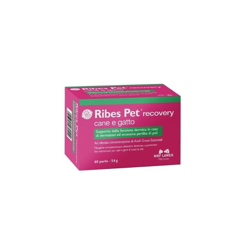 Ribes pet recovery 60prl