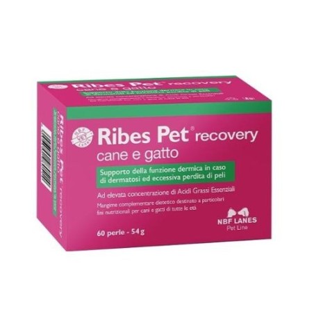 Ribes pet recovery 60prl