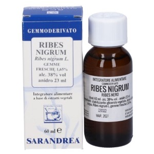 Ribes nigrum 60ml mg