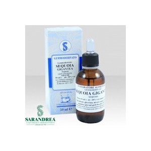 Sequoia gigantea 60ml mg