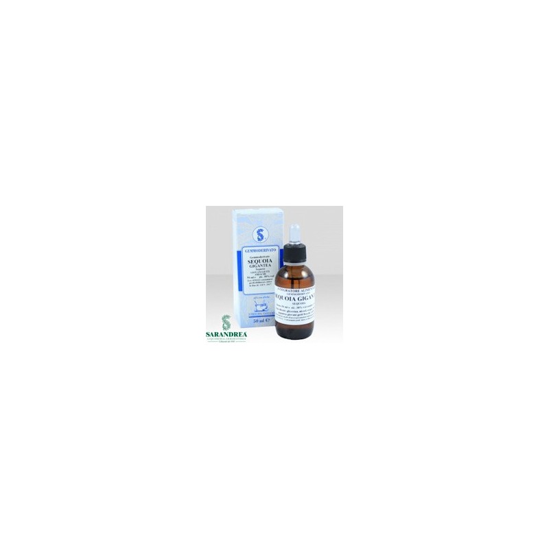 Sequoia gigantea 60ml mg