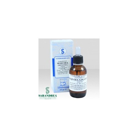 Sequoia gigantea 60ml mg