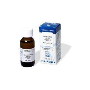 Ampelopsis weitchii 60ml mg