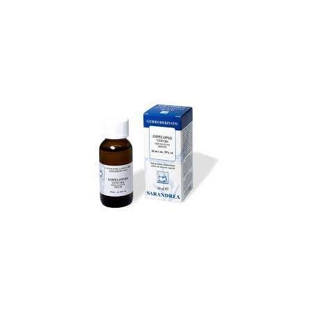 Ampelopsis weitchii 60ml mg