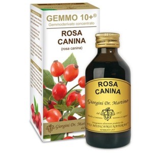 Rosa canina liq analco gemm10+