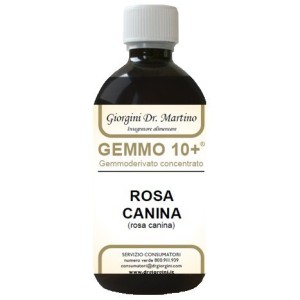 Rosa canina liq analco gemm10+