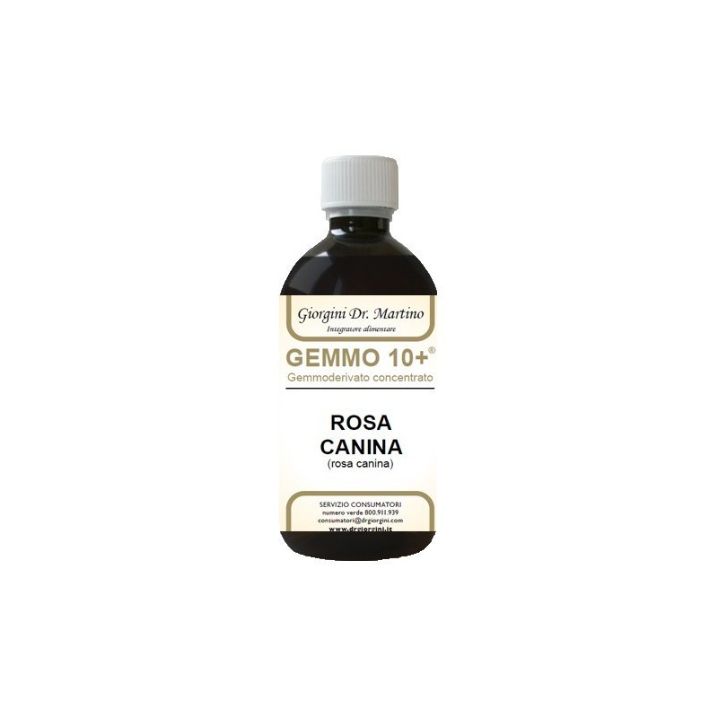 Rosa canina liq analco gemm10+ Rosa canina liq analco gemm10+