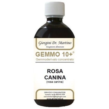 Rosa canina liq analco gemm10+ Rosa canina liq analco gemm10+