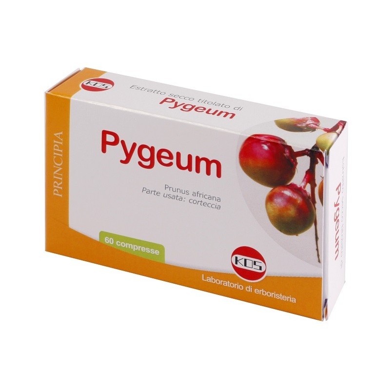 Pygeum estratto secco 60 compresse Pygeum estratto secco 60 compresse