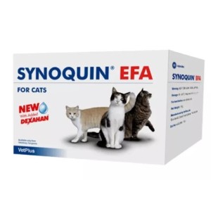 Synoquin efa cat 30 capsule