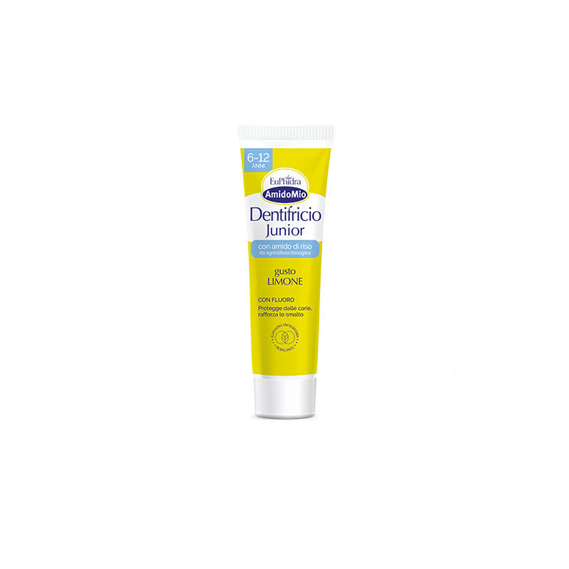 Euphidra amido dentif lim6-12a