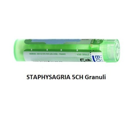 Staphysagria (boiron) 80 granuli 5 ch contenitore multidose Staphysagria (boiron) 80 granuli 5 ch contenitore multidose