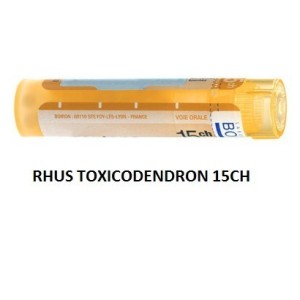 Rhus toxicodendron (boiron) 80 granuli 15 ch contenitore multidose