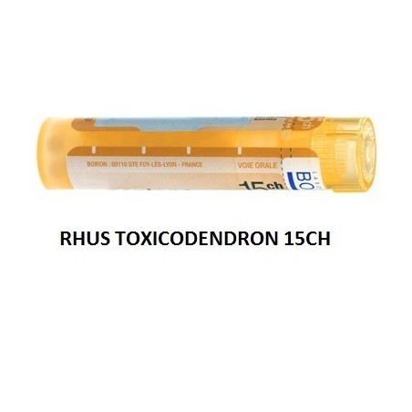 Rhus toxicodendron (boiron) 80 granuli 15 ch contenitore multidose
