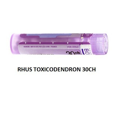 Rhus toxicodendron (boiron) 80 granuli 30 ch contenitore multidose