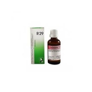 Reckeweg r29 gocce 22 ml