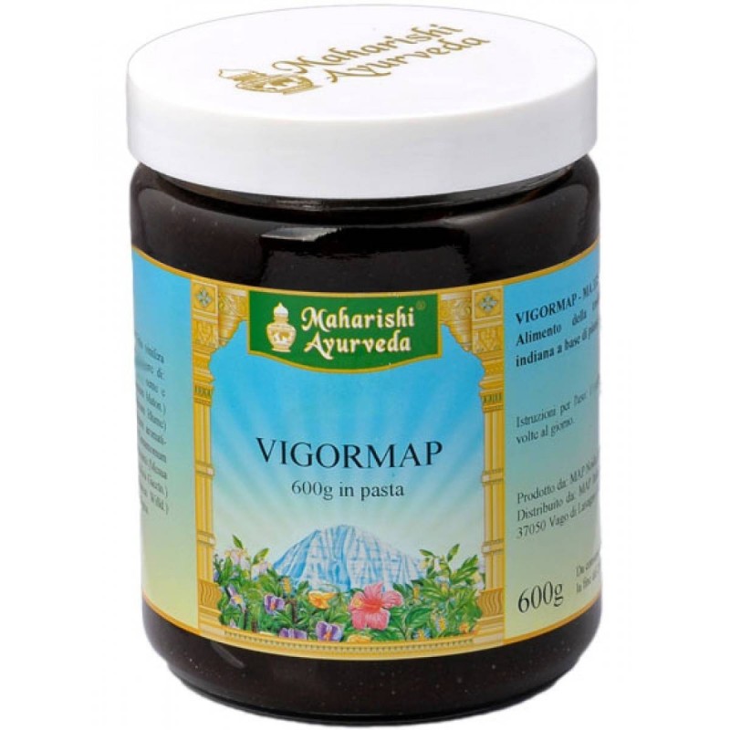 Vigormap pasta 600 g