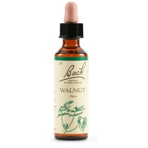 Walnut bach orig 20 ml