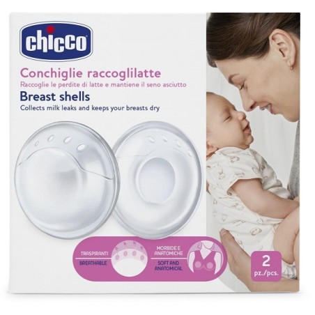 Chicco conchiglie raccoglilatte