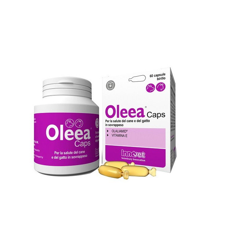 Oleea caps 60 capsule Oleea caps 60 capsule