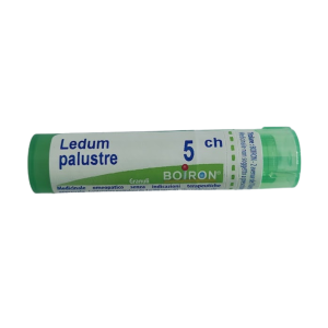 Ledum palustre (boiron) 80 granuli 5 ch contenitore multidose