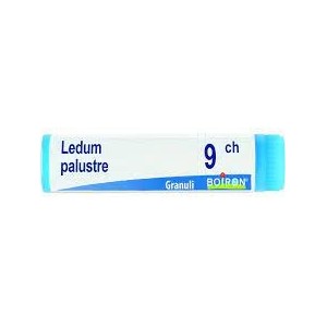 Ledum palustre 9ch globuli
