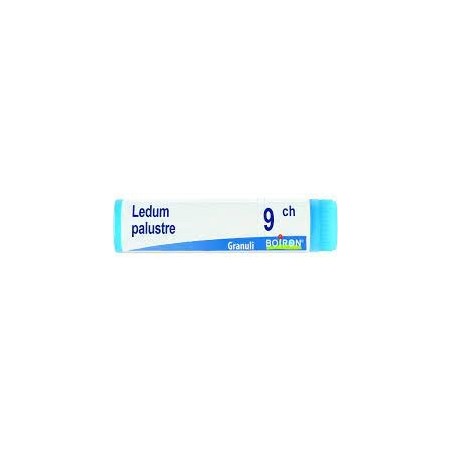 Ledum palustre 9ch globuli Ledum palustre 9ch globuli
