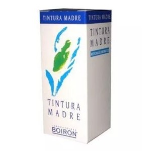 Ribes nigrum tintura madre 60 ml