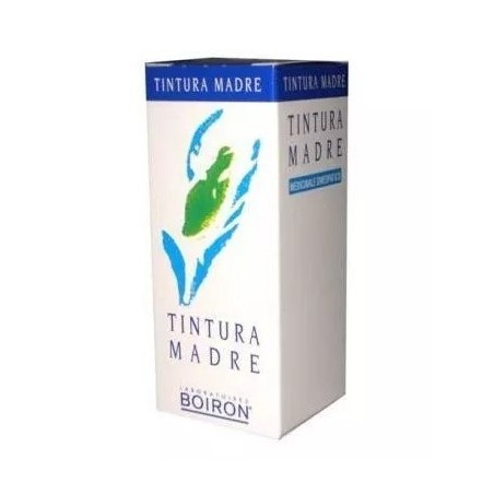 Ribes nigrum tintura madre 60 ml Ribes nigrum tintura madre 60 ml