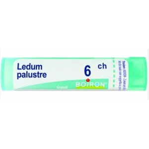 Ledum palustre 6ch granuli