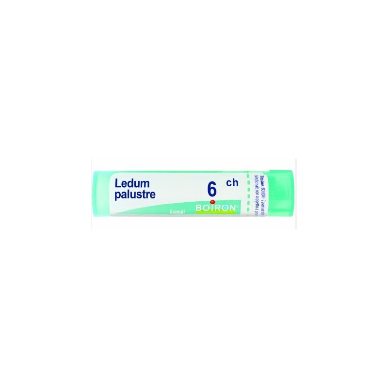 Ledum palustre 6ch granuli