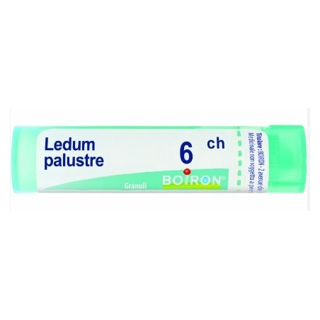Ledum palustre 6ch granuli