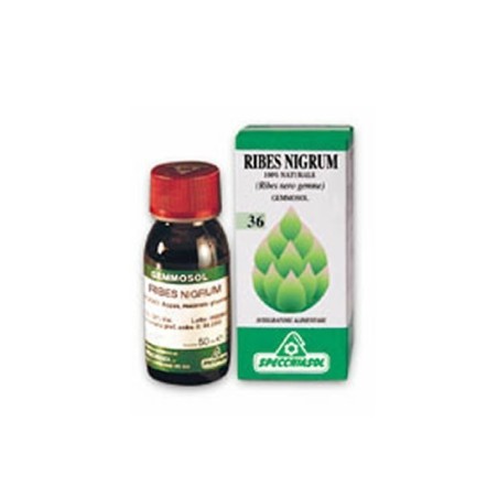 Gemmosol 36 ribes nero macerato glicerico 100 ml