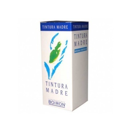 Agnus castus tintura madre 60 ml