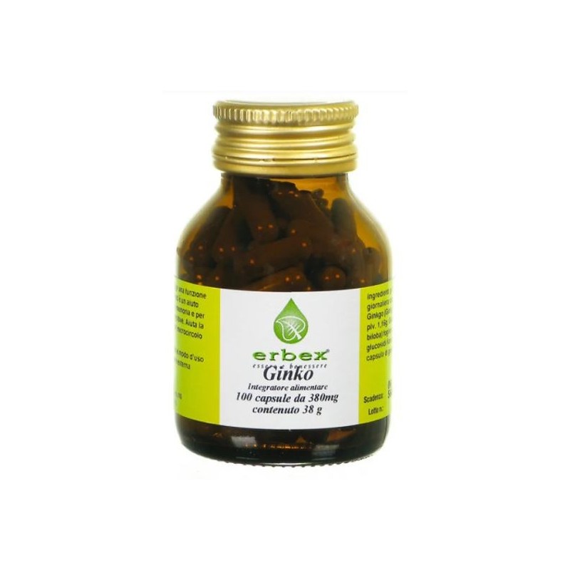 Ginkgo biloba 100 capsule 380 mg