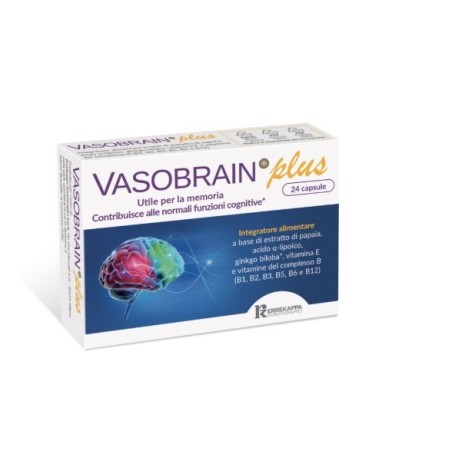 Vasobrain plus 24 capsule