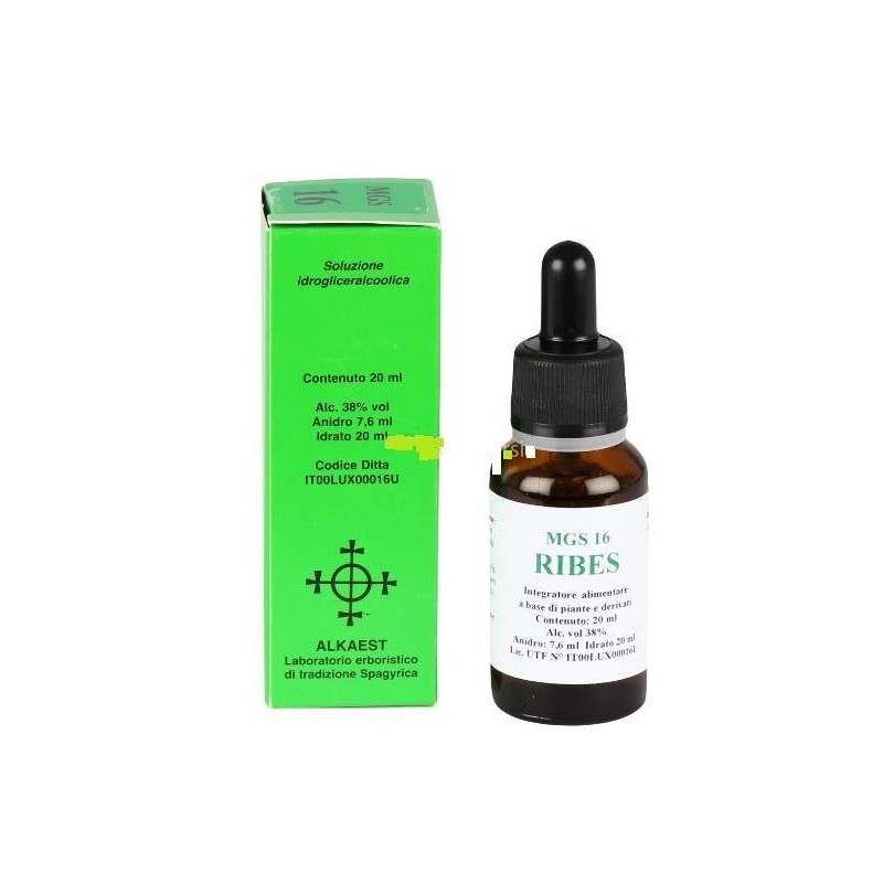 Mgs16 ribes macerato glicerico spg 20 ml Mgs16 ribes macerato glicerico spg 20 ml
