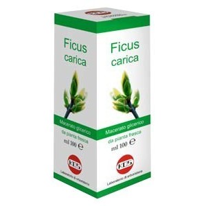 Ficus carica macerato glicerico 100 ml