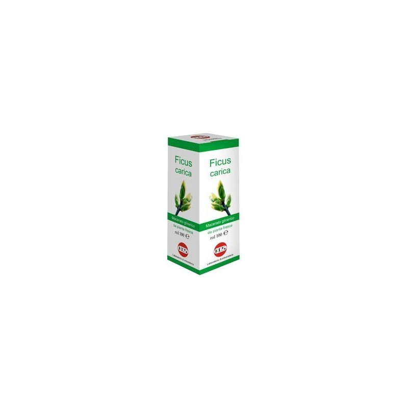 Ficus carica macerato glicerico 100 ml