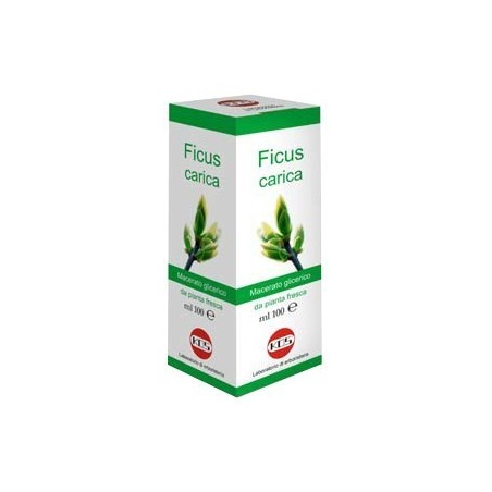 Ficus carica macerato glicerico 100 ml